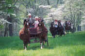 carriages_uphill.jpg (81363 bytes)